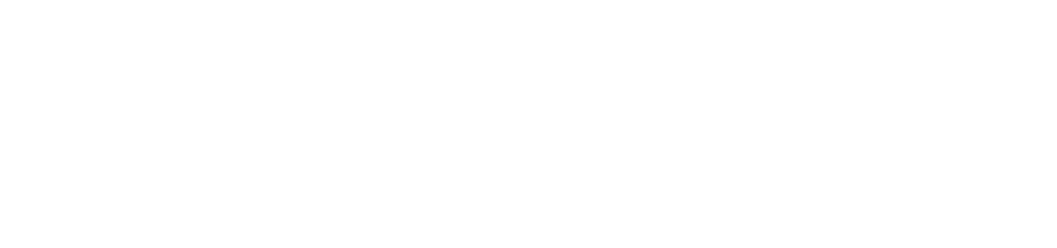 Polister